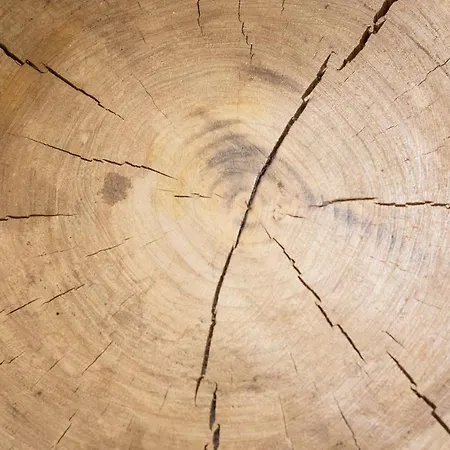 Eco Urban Oda ve Kahvaltı